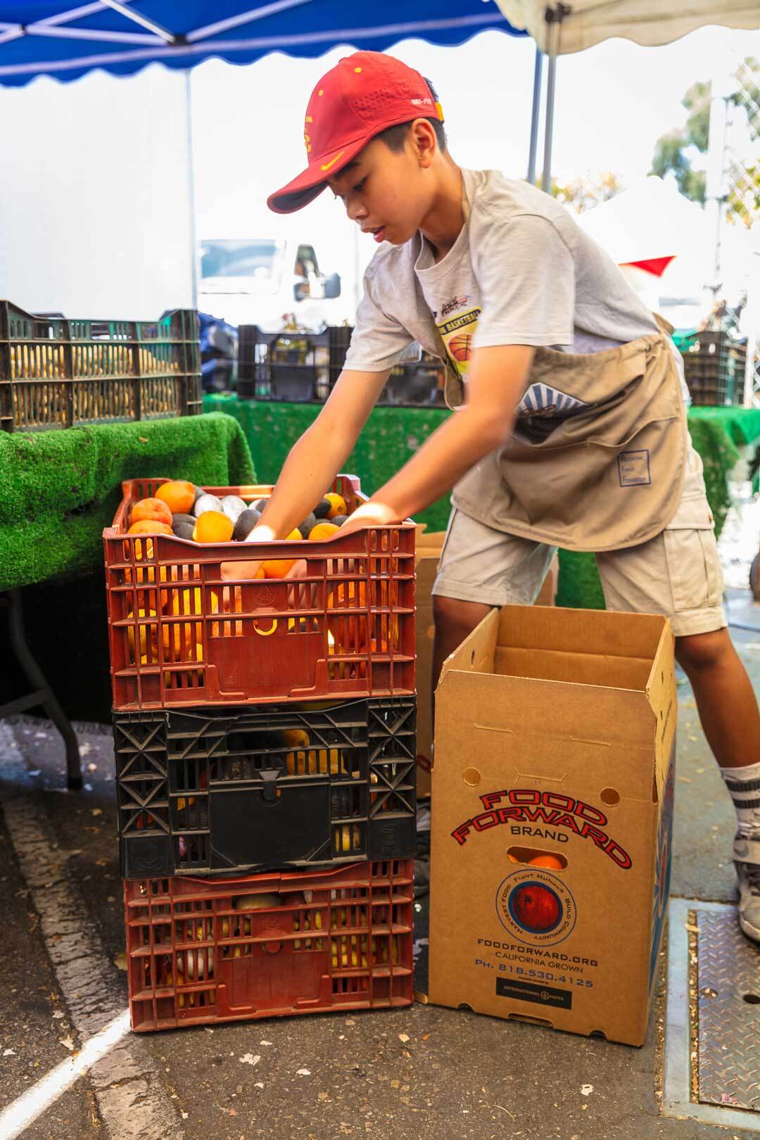 Food Forward Volunteer Filling Boxes